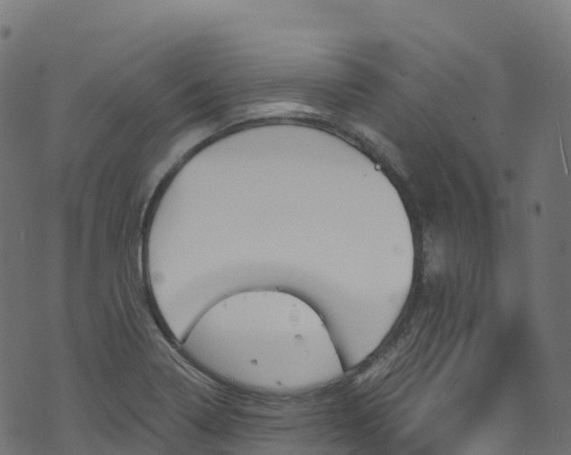 X0000070881322200606231333