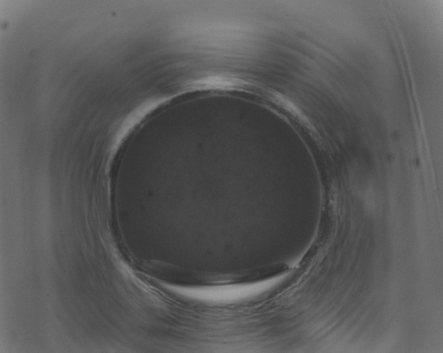 X0000070881323200606231333