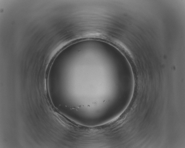 X0000070881324200606231333