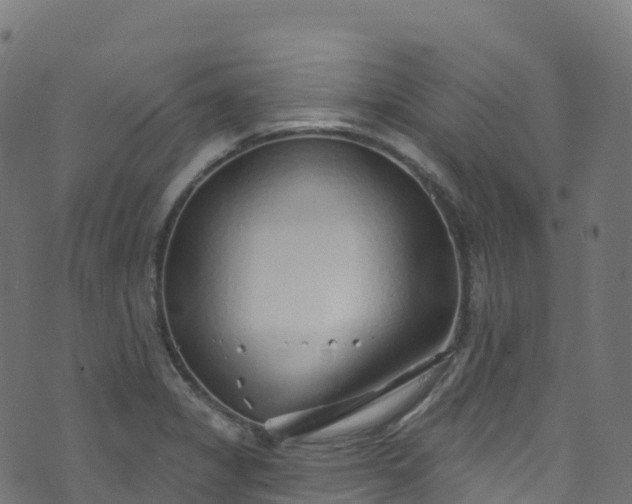 X0000070881325200606231333