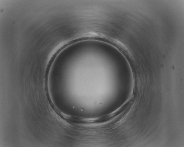 X0000070881326200606231333