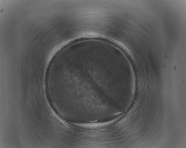 X0000070881327200606231333