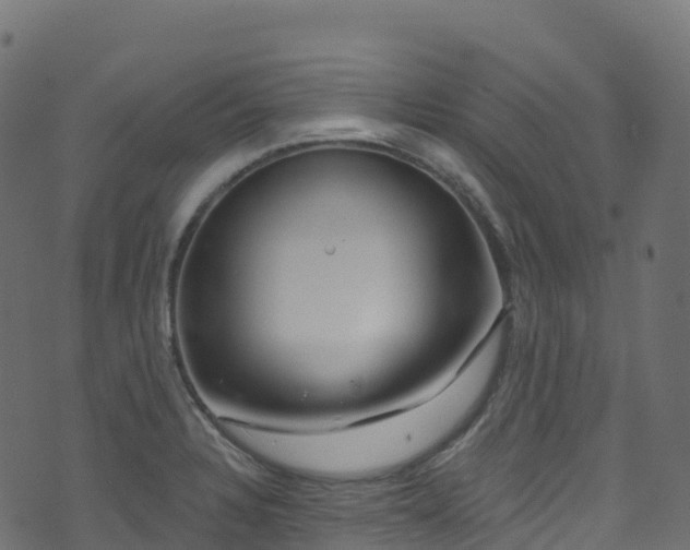 X0000070881328200606231333