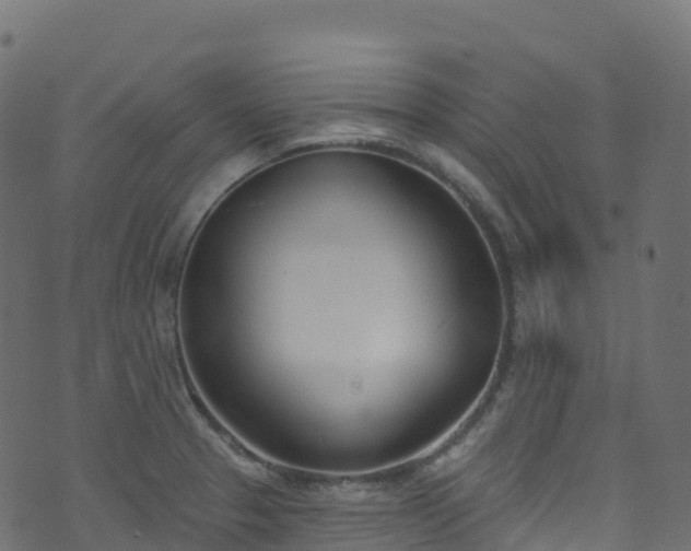 X0000070881329200606231333