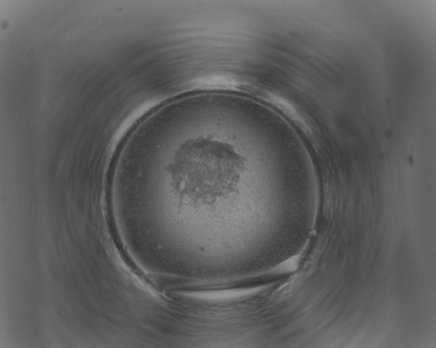 X0000070881331200606231333