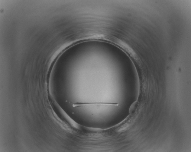 X0000070881332200606231333