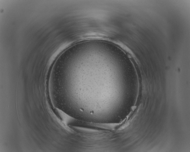 X0000070881333200606231333