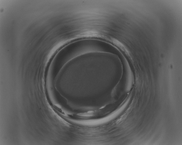 X0000070881334200606231333