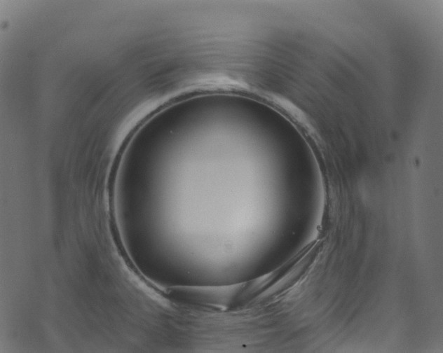 X0000070881335200606231333