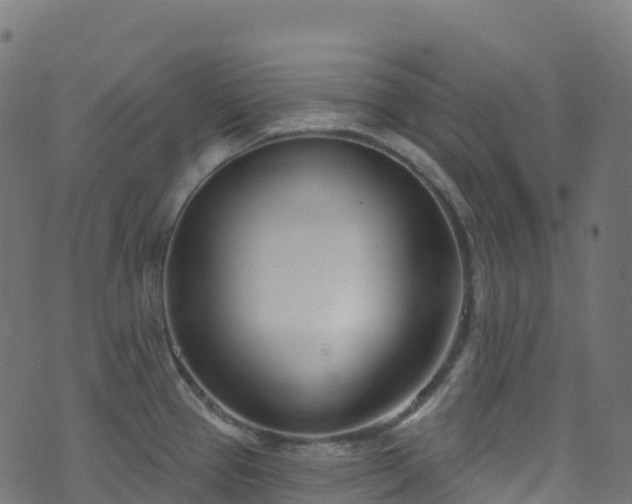 X0000070881337200606231333