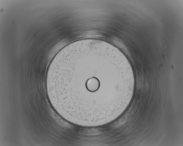 X0000070881338200606231333