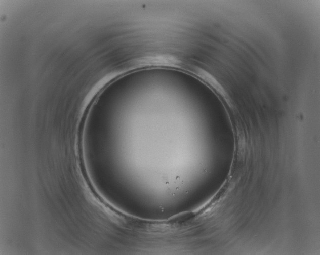 X0000070881339200606231333