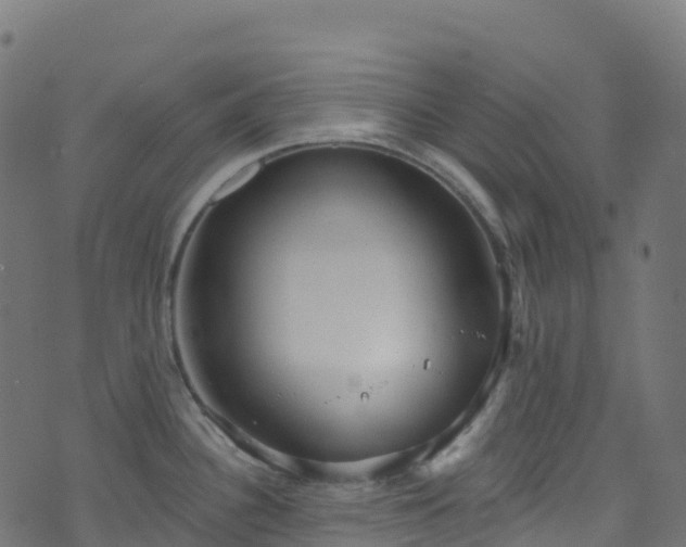 X0000070881340200606231333