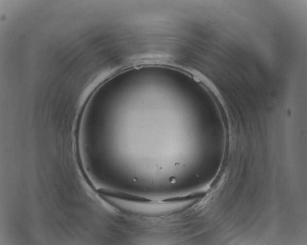 X0000070881341200606231333