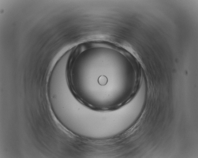 X0000070881342200606231333