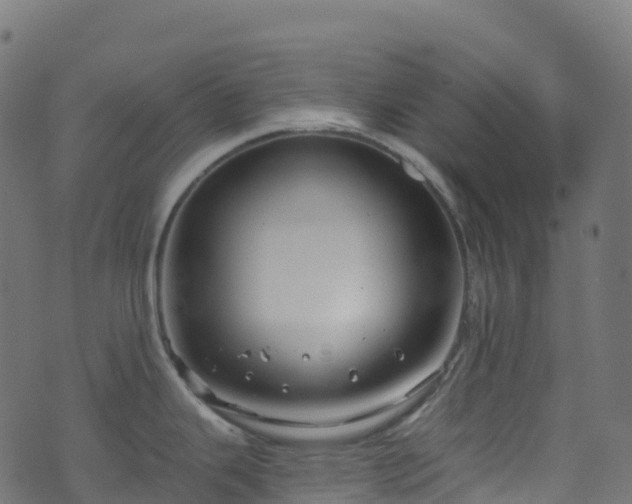 X0000070881343200606231333