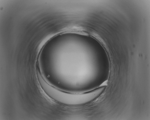 X0000070881344200606231333