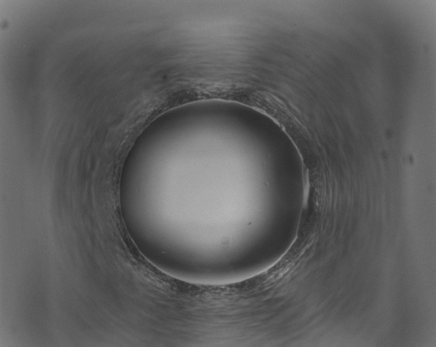 X0000070881345200606231332