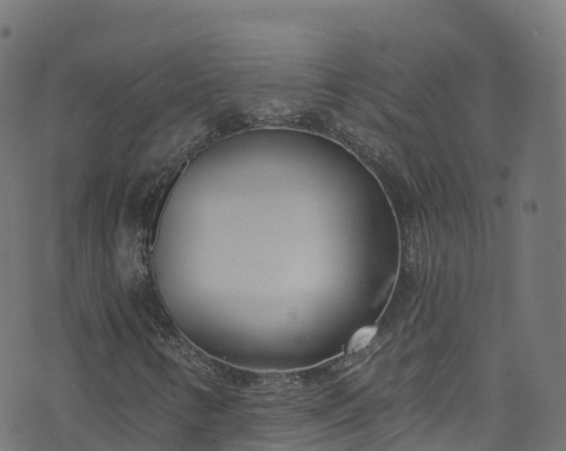 X0000070881346200606231332