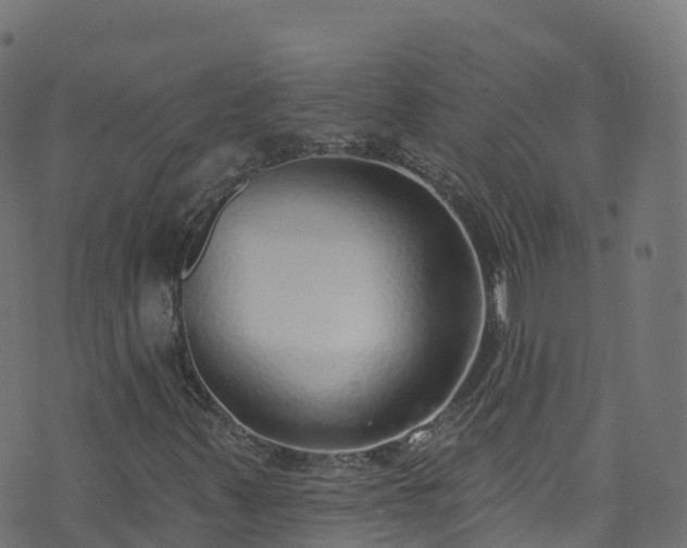 X0000070881347200606231332