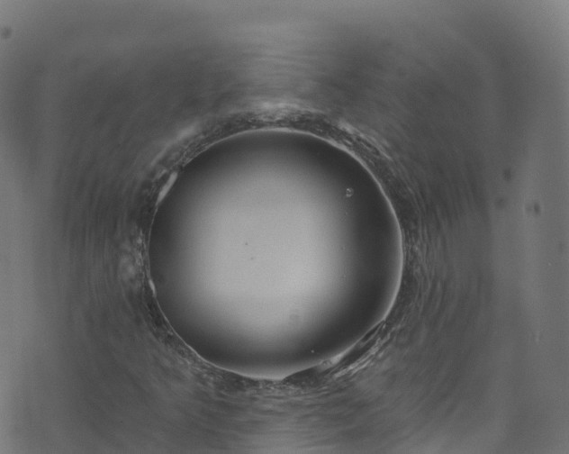 X0000070881349200606231332