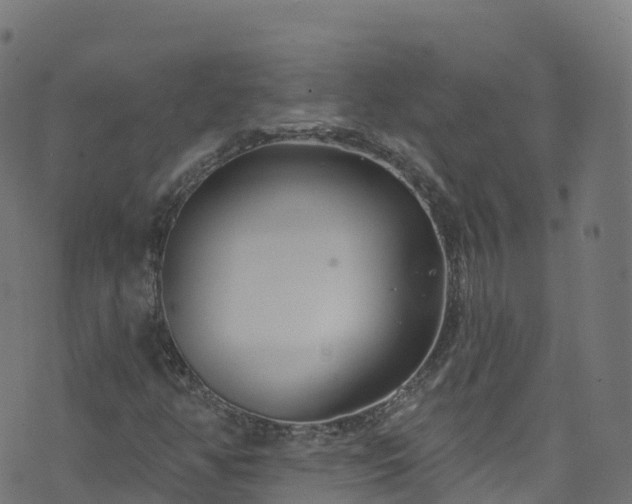 X0000070881350200606231332