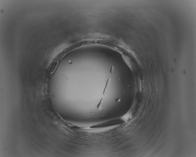 X0000070881352200606231332