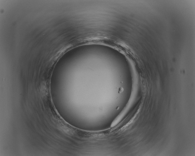 X0000070881353200606231332