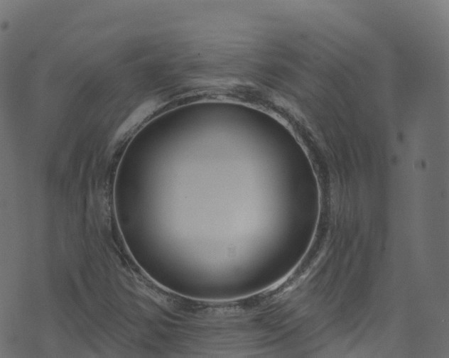 X0000070881354200606231332