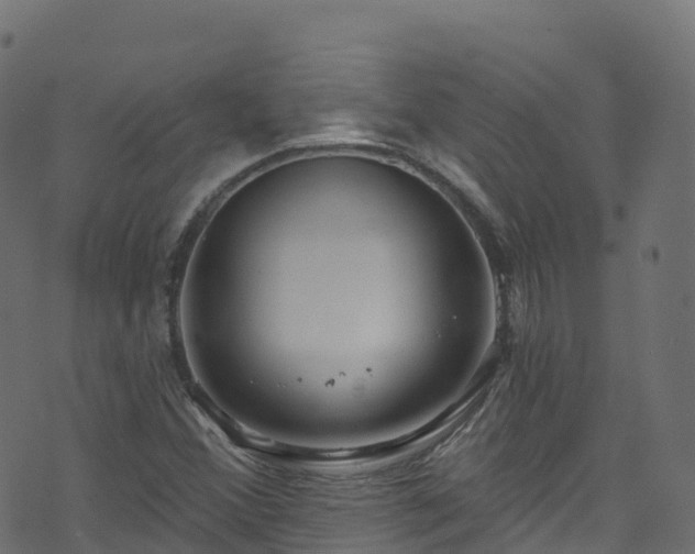 X0000070881356200606231332