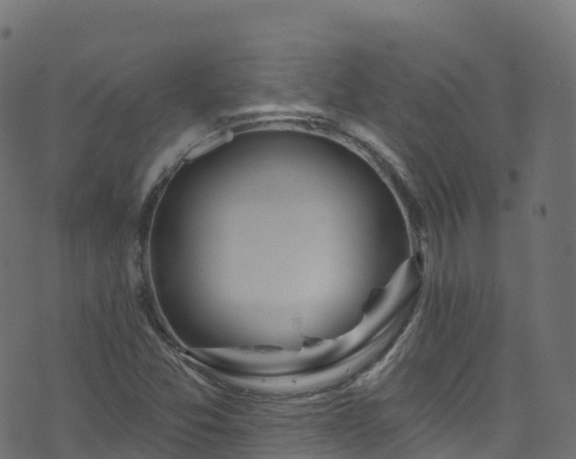 X0000070881357200606231332