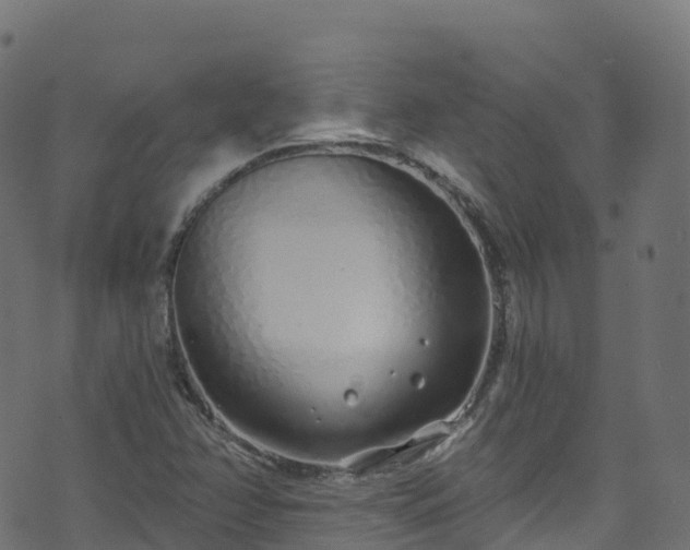 X0000070881358200606231332