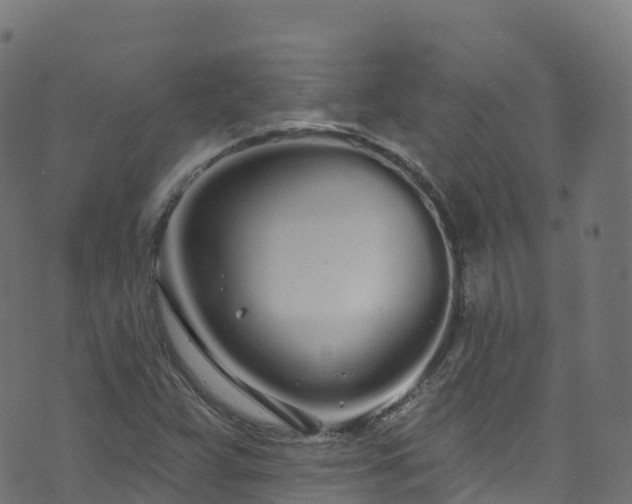 X0000070881359200606231332