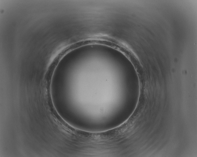 X0000070881360200606231332