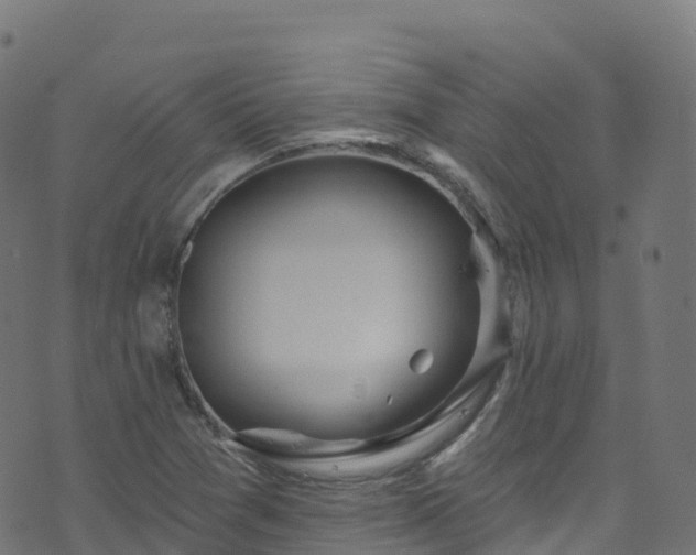 X0000070881361200606231332