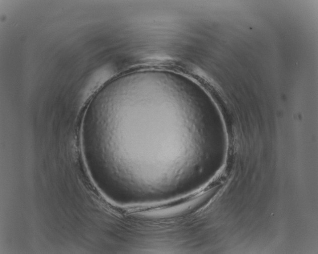 X0000070881362200606231332