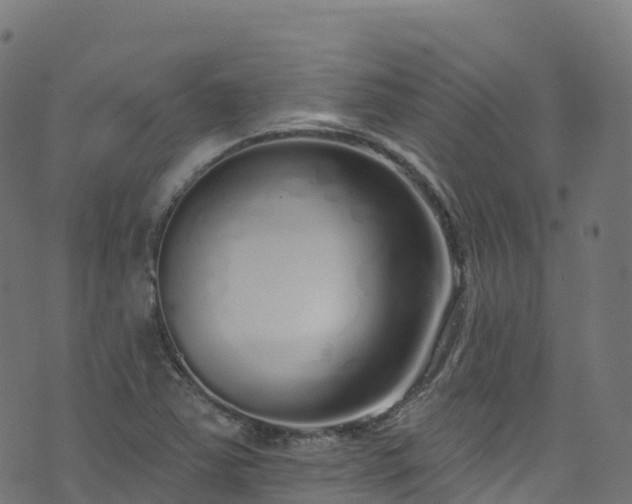 X0000070881363200606231332