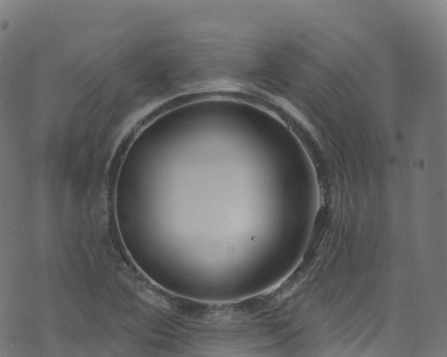 X0000070881364200606231332