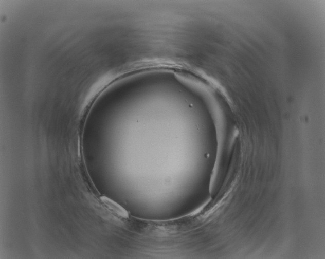 X0000070881365200606231332