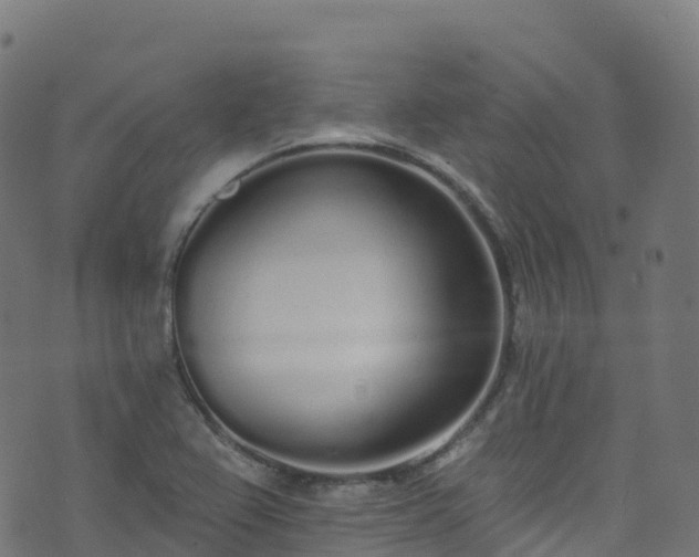 X0000070881367200606231332