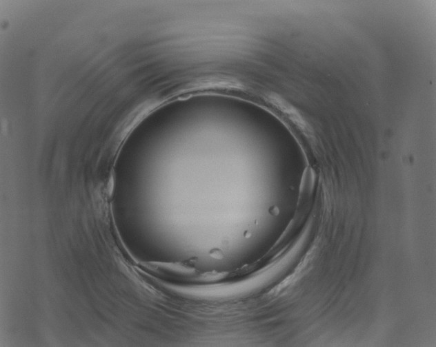 X0000070881369200606231332