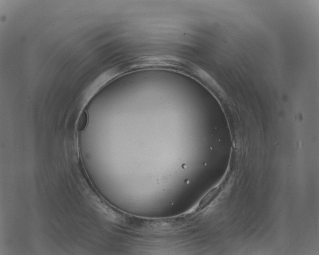 X0000070881370200606231332