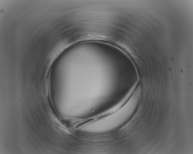 X0000070881371200606231332