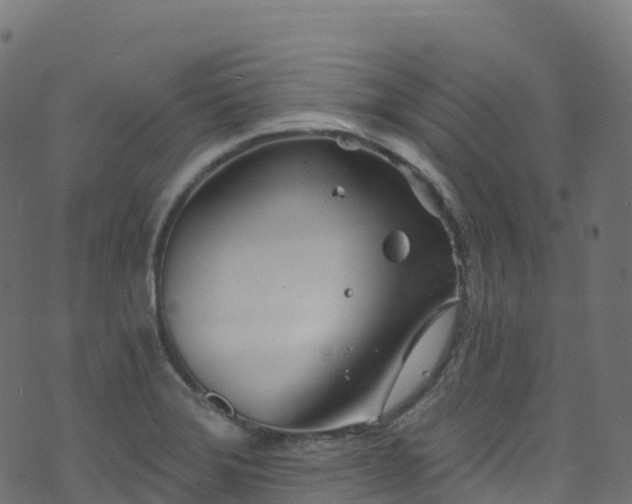 X0000070881372200606231332