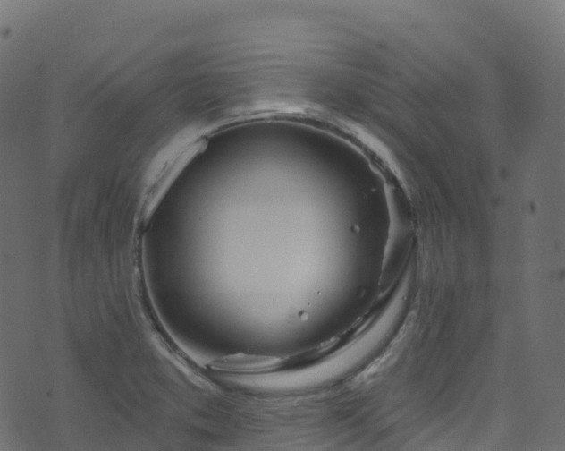 X0000070881373200606231332