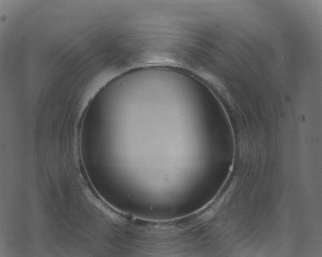 X0000070881374200606231332