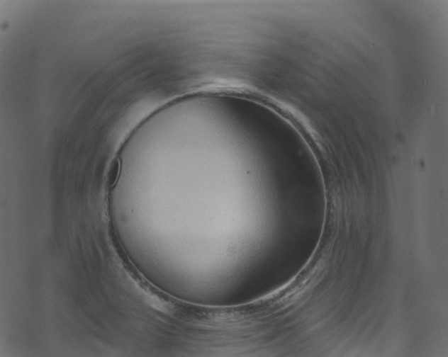 X0000070881375200606231332