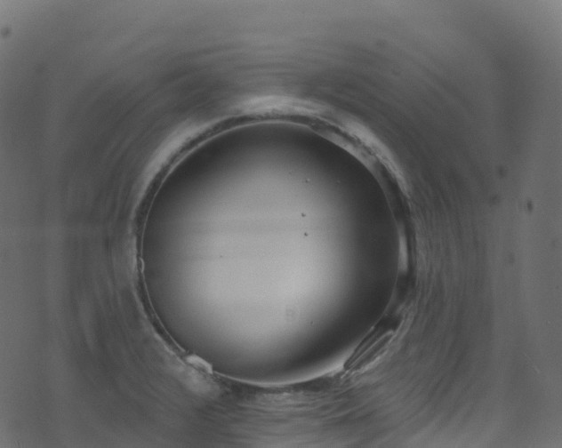 X0000070881376200606231332