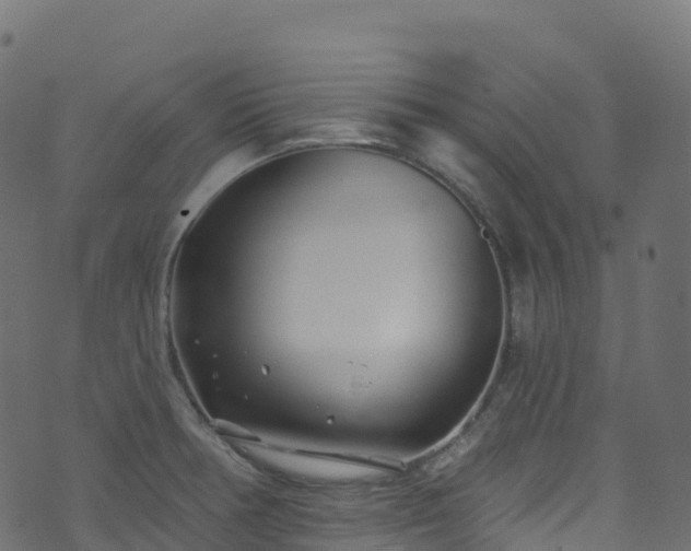 X0000070881378200606231332