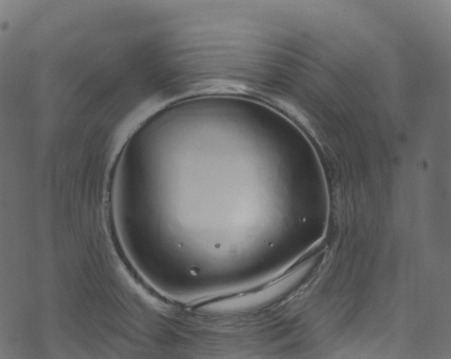 X0000070881379200606231332